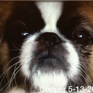 Meet your Posher, Freda